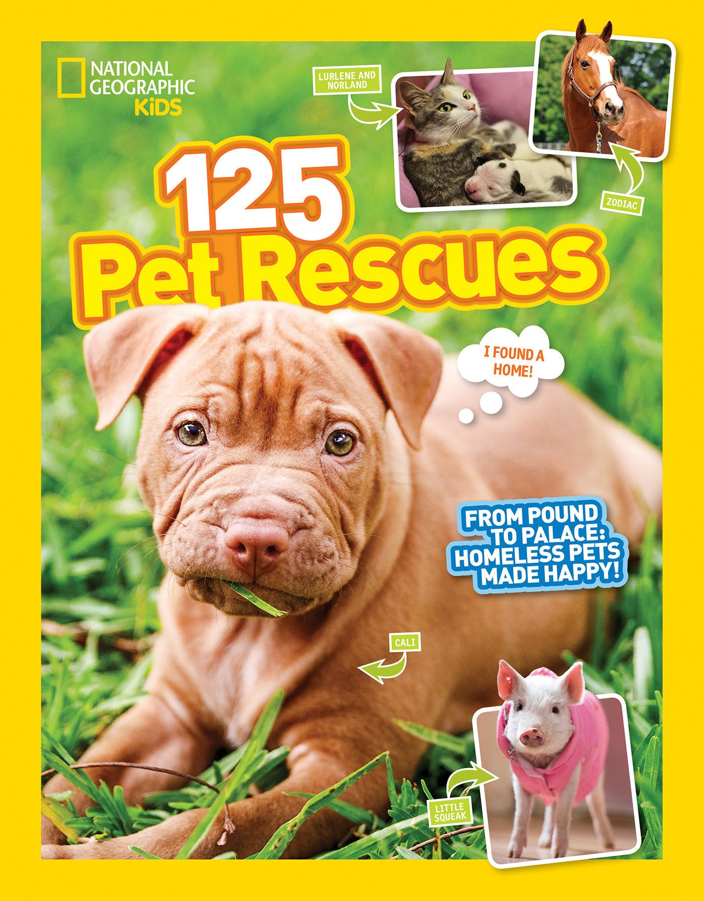 125 Pet Rescues: From Pound to Palace: Homeless Pets Made Happy Pets