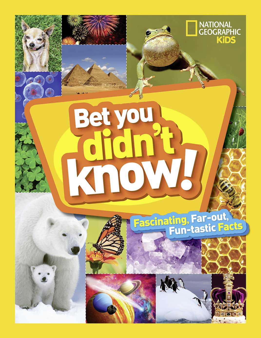 Bet You Didn't Know book