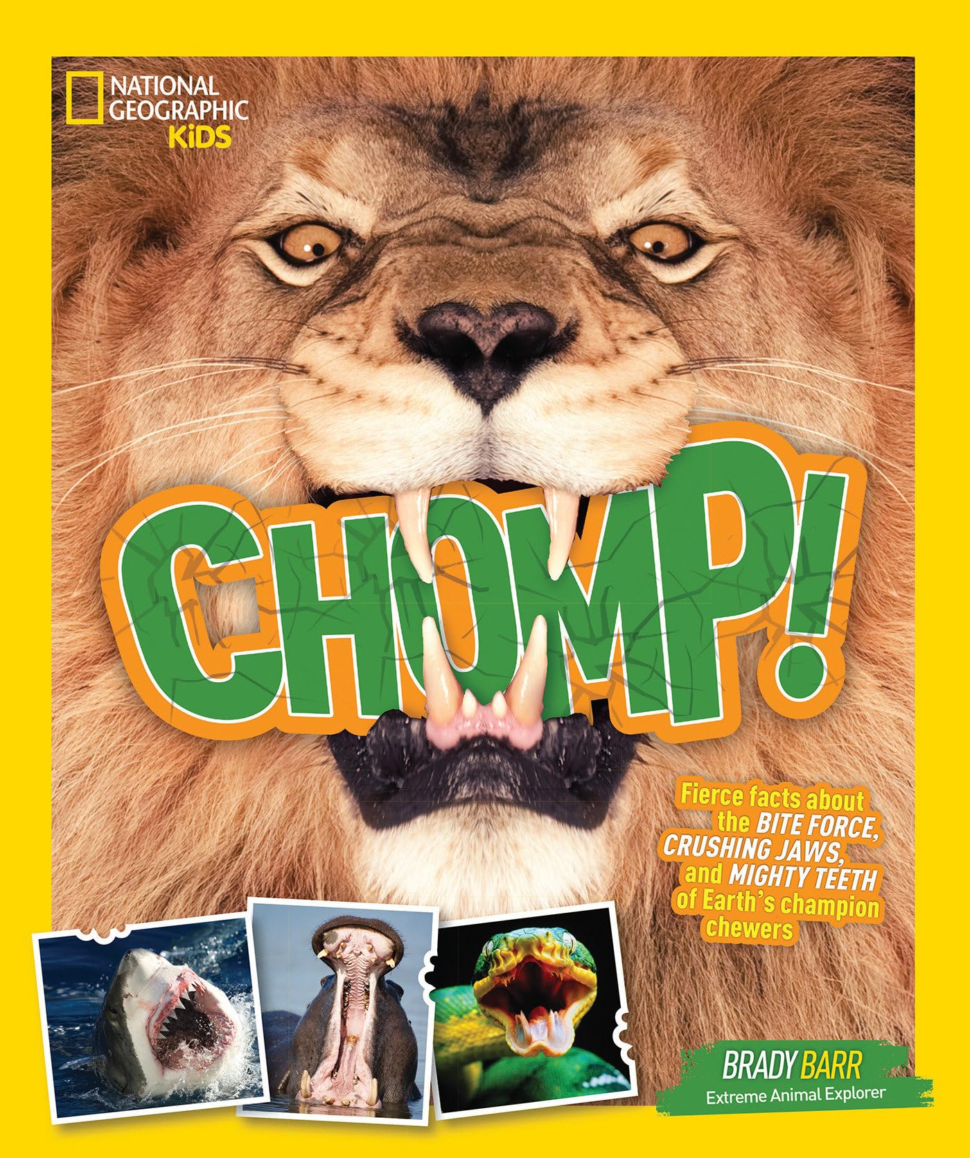 Chomp!: Fierce facts about the BITE FORCE, CRUSHING JAWS, and MIGHTY TEETH of Earth's champion chewers (Animals) Tiptoi & Games