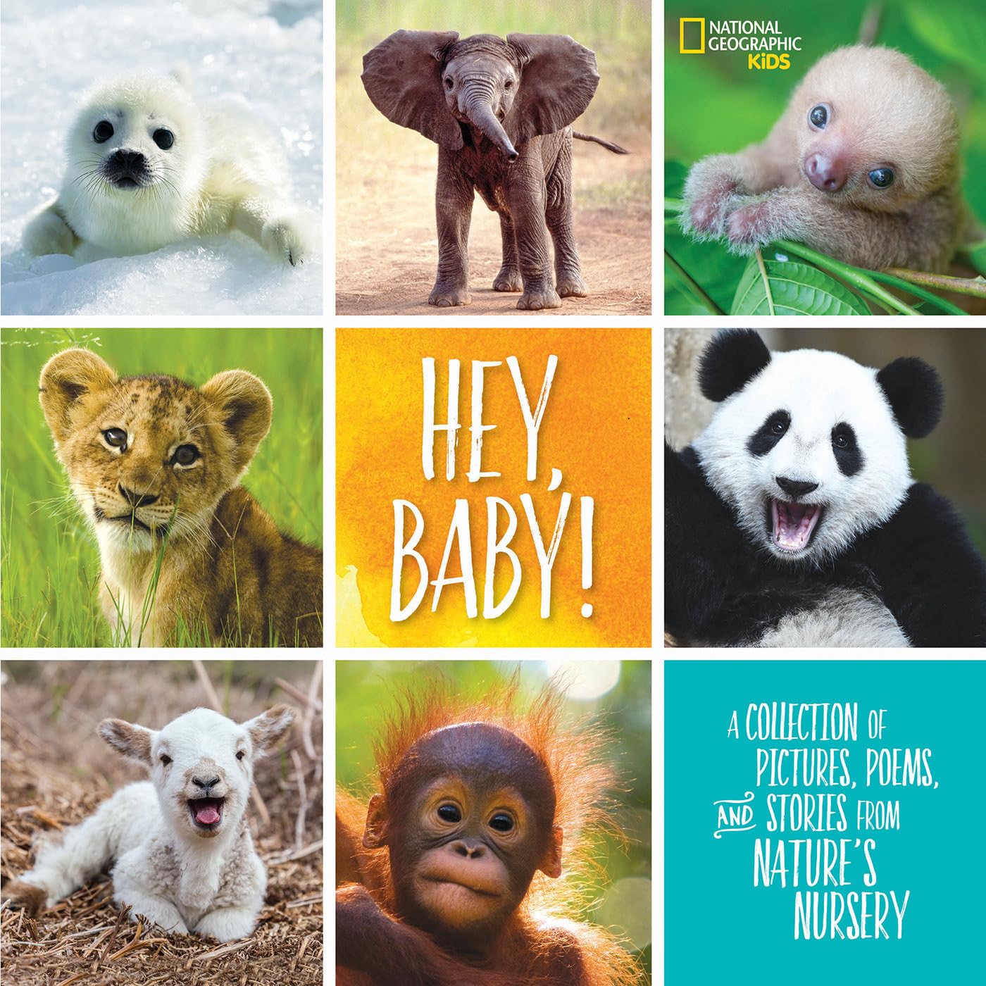 Hey, Baby!: A Collection of Pictures, Poems, and Stories from Nature's Nursery (Stories & Poems) Parents & Children