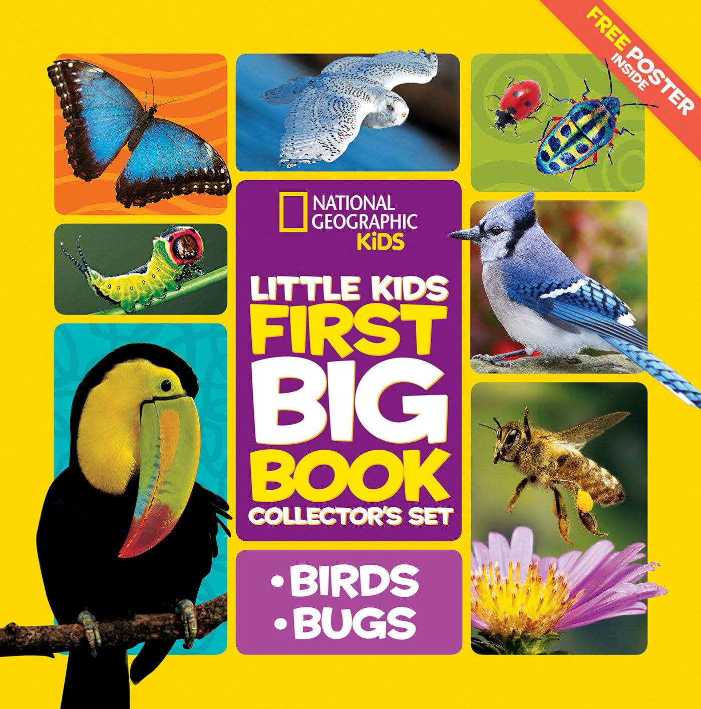 National Geographic Little Kids First Big Book Collector's Set: Birds and Bugs Non-fiction