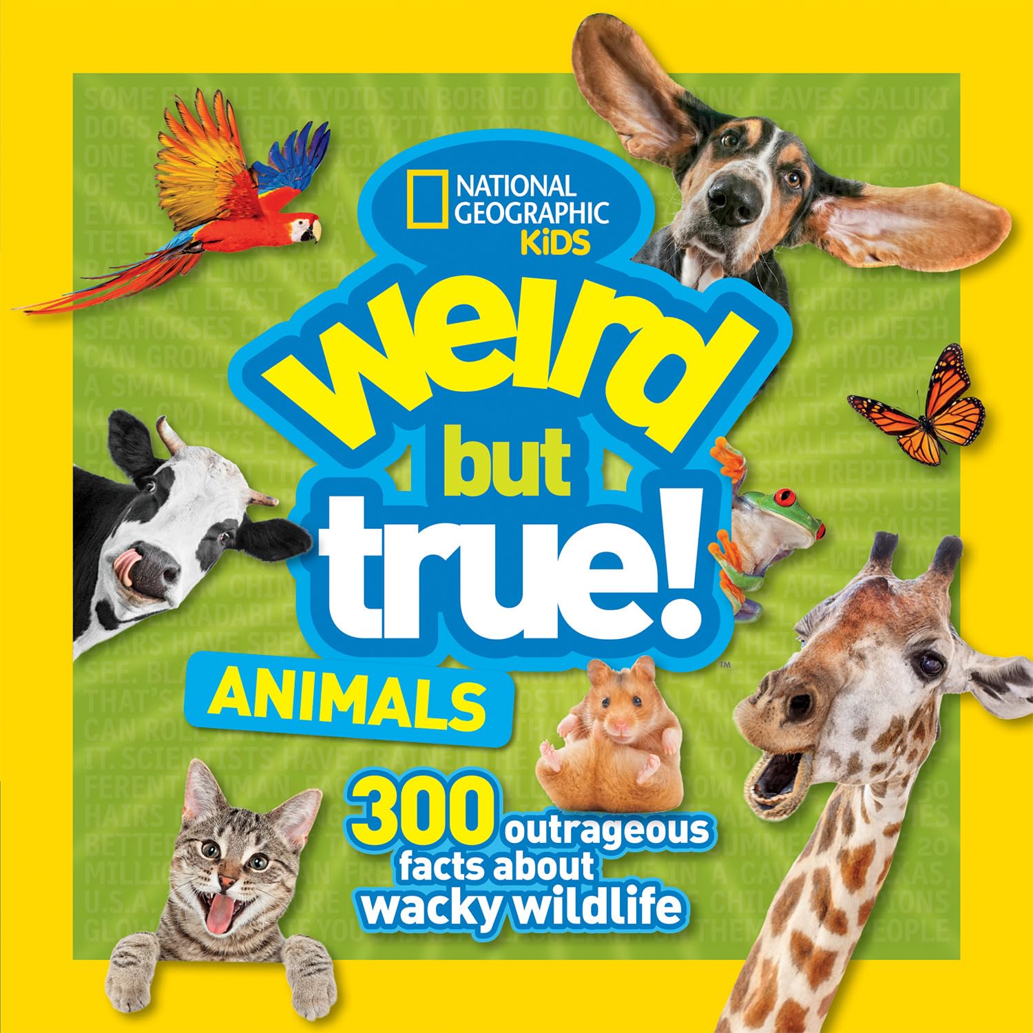 Weird But True! Animals Tiptoi & Games