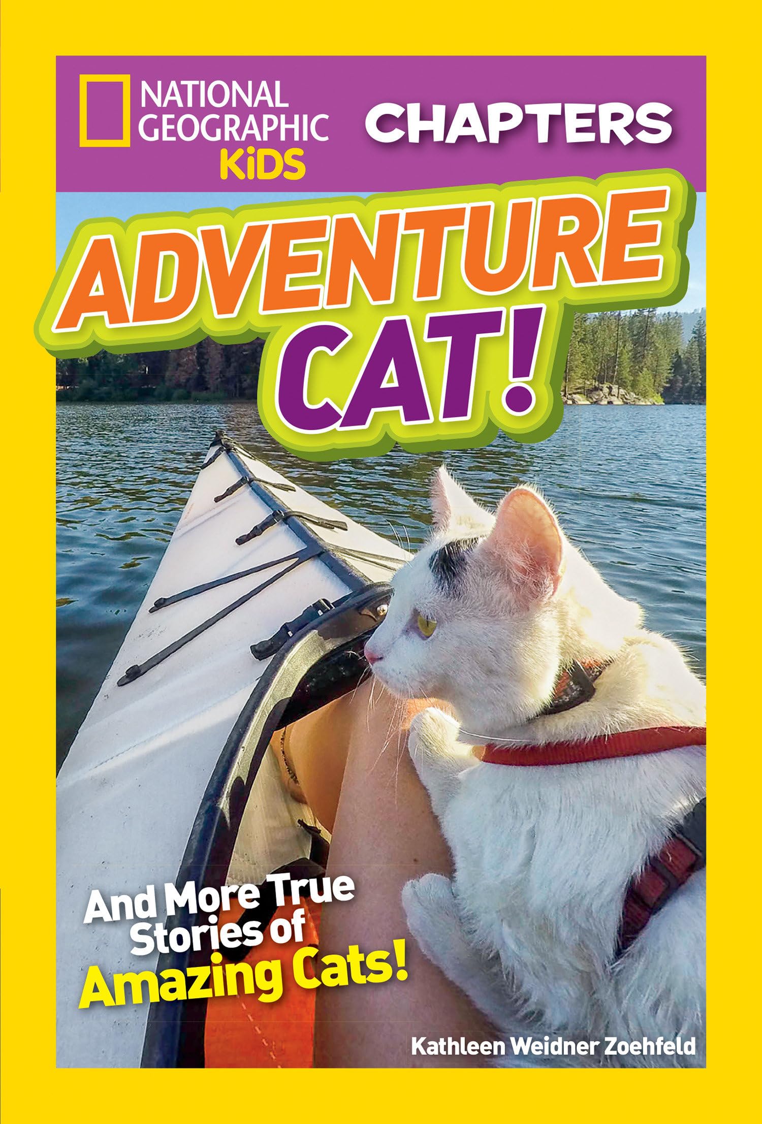 National Geographic Kids Chapters: Adventure Cat! book