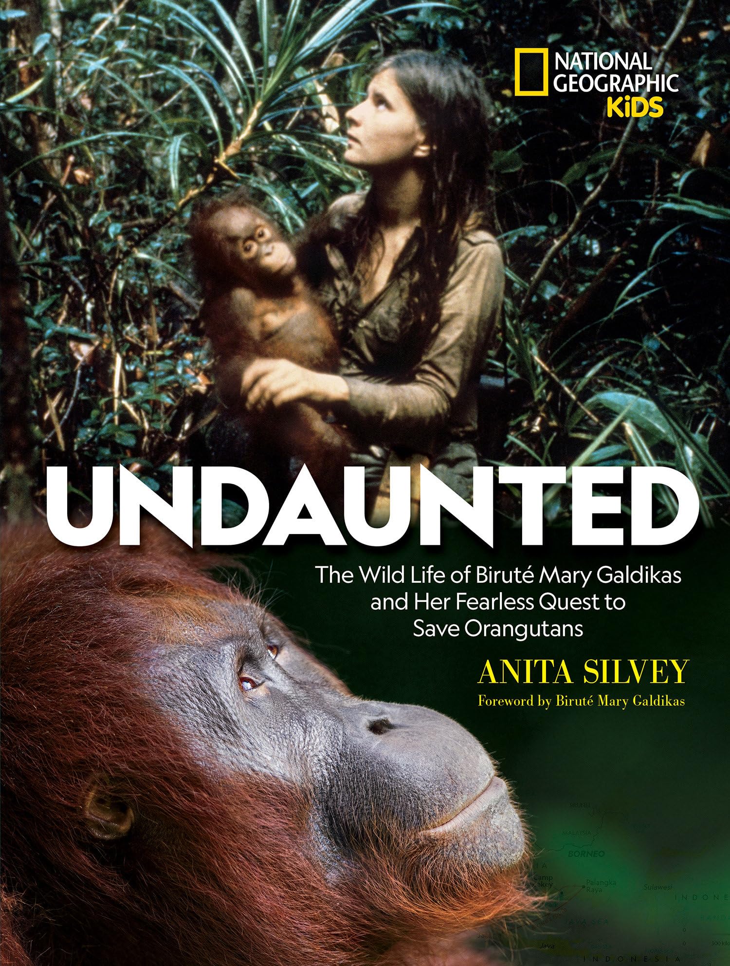 Undaunted: The Wild Life of Biruté Mary Galdikas and Her Fearless Quest to Save Orangutans (Ngk the Wild Life) Sports Books