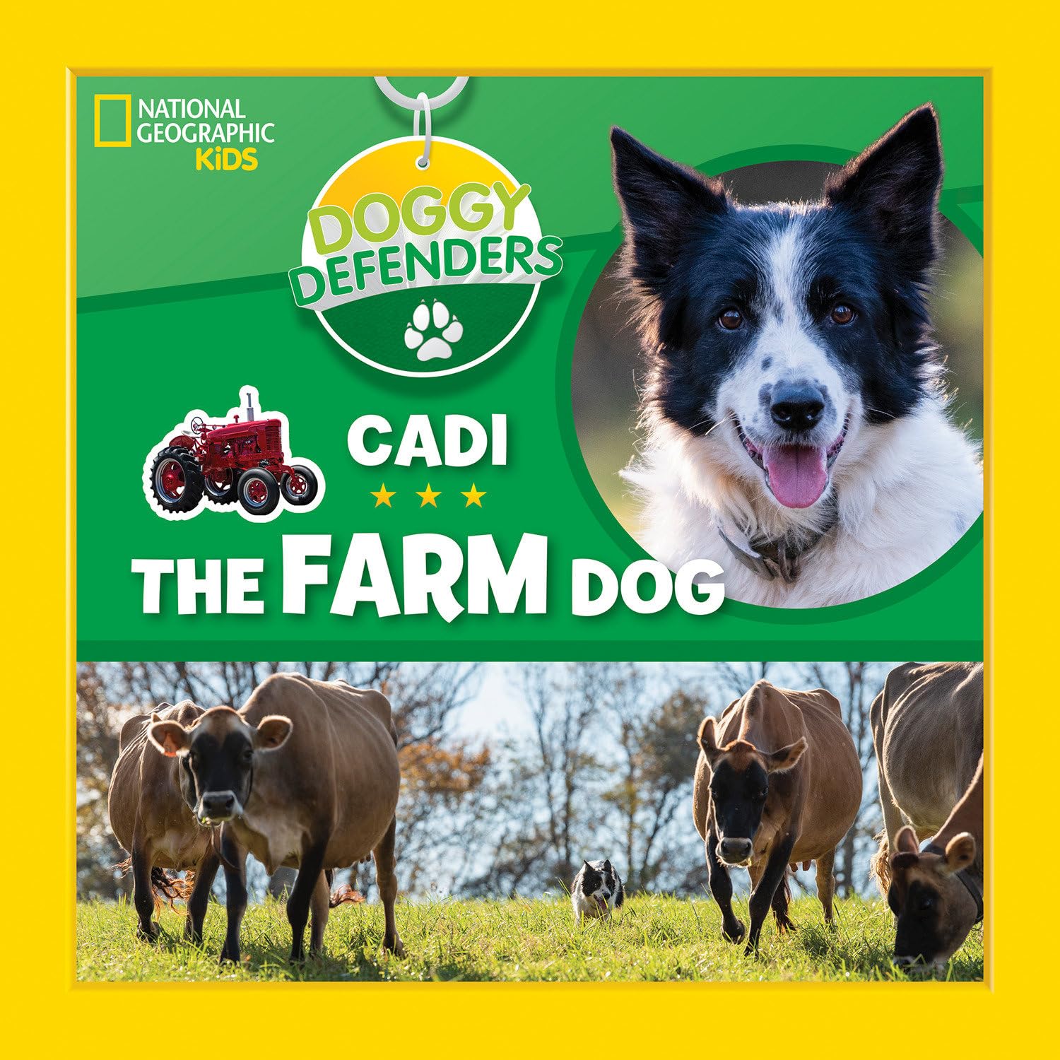Doggy Defenders: Cadi the Farm Dog Non-fiction