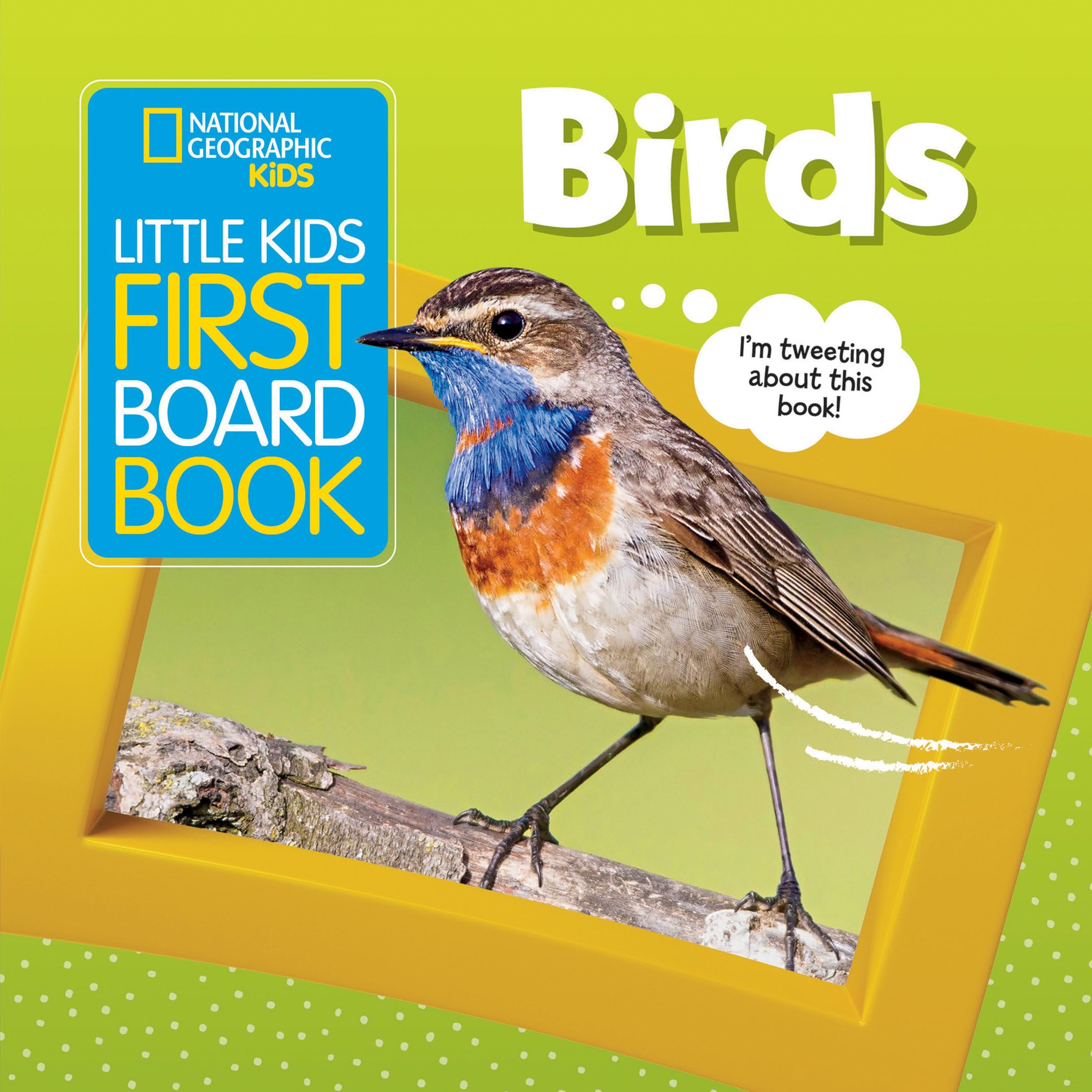 National Geographic Kids Little Kids First Board Book: Birds (First Board Books) Parents & Children