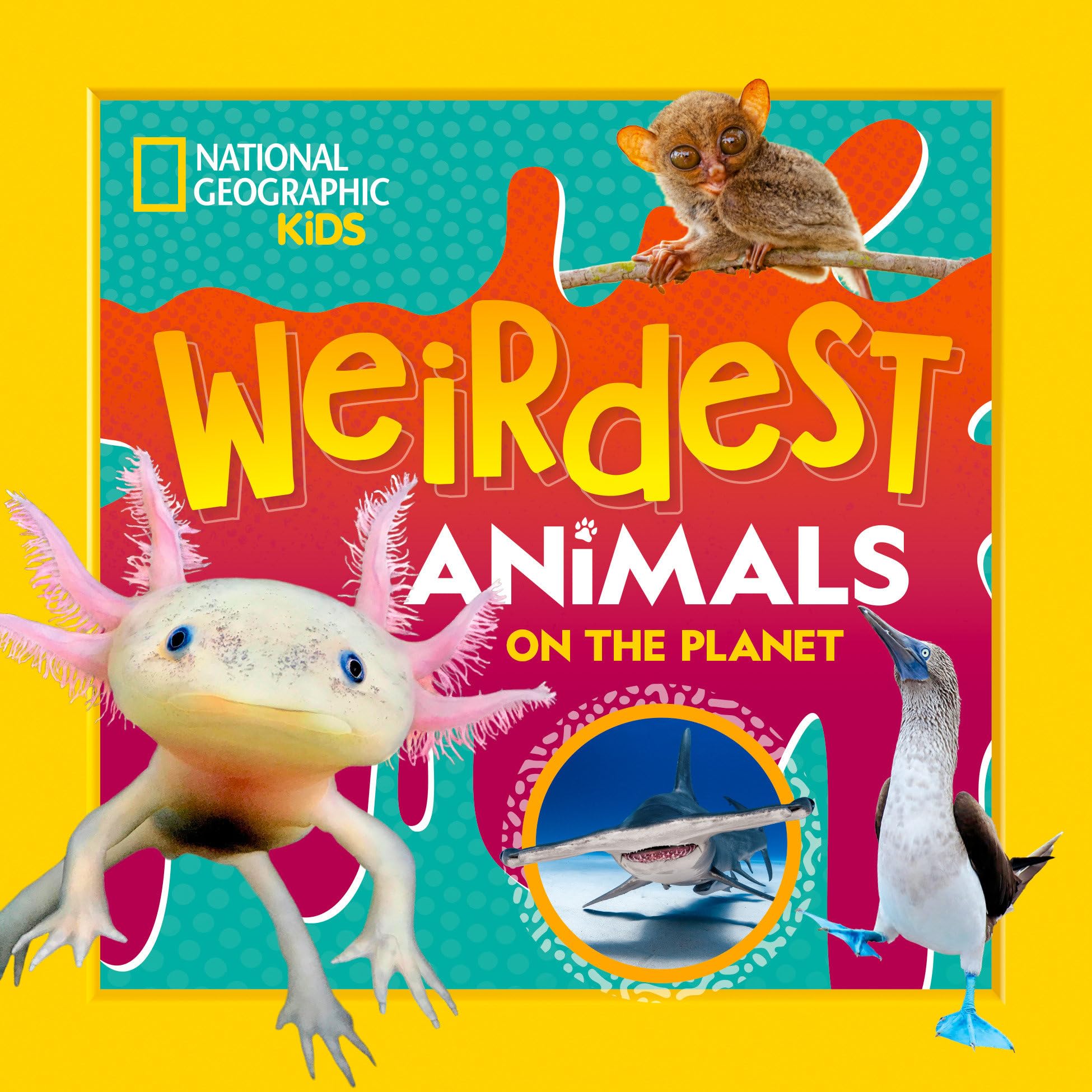Weirdest Animals on the Planet Non-fiction
