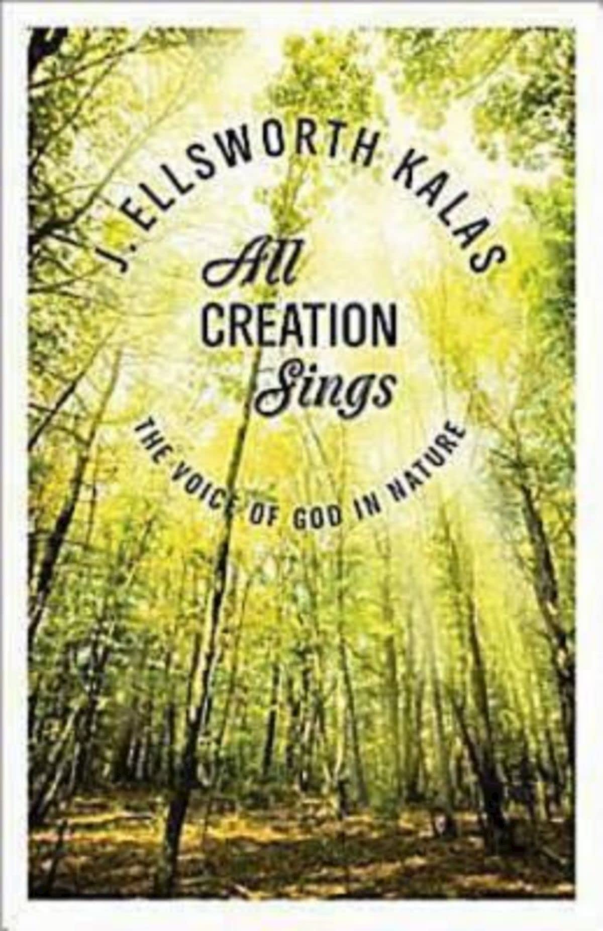 All Creation Sings: The Voice of God in Nature (Abingdon Press) Mathematics