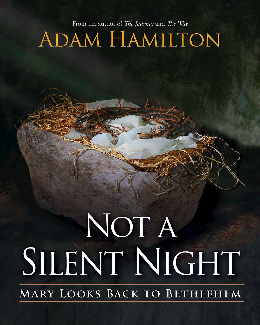 Not a Silent Night: Mary Looks Back to Bethlehem book