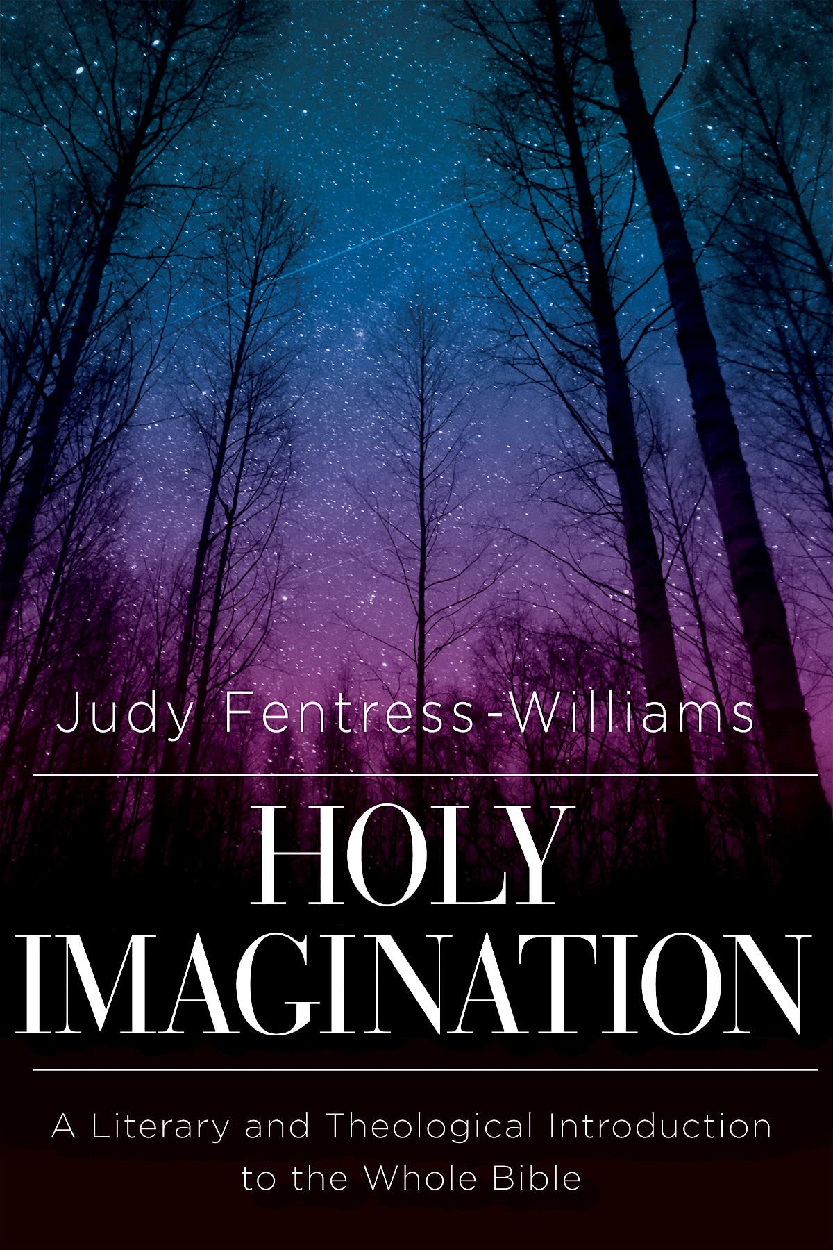 Holy Imagination: A Literary and Theological Introduction to the Whole Bible Religion & Esotericism