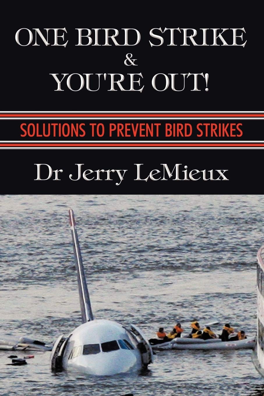 One Bird Strike and You're Out!: Solutions to Prevent Bird Strikes book