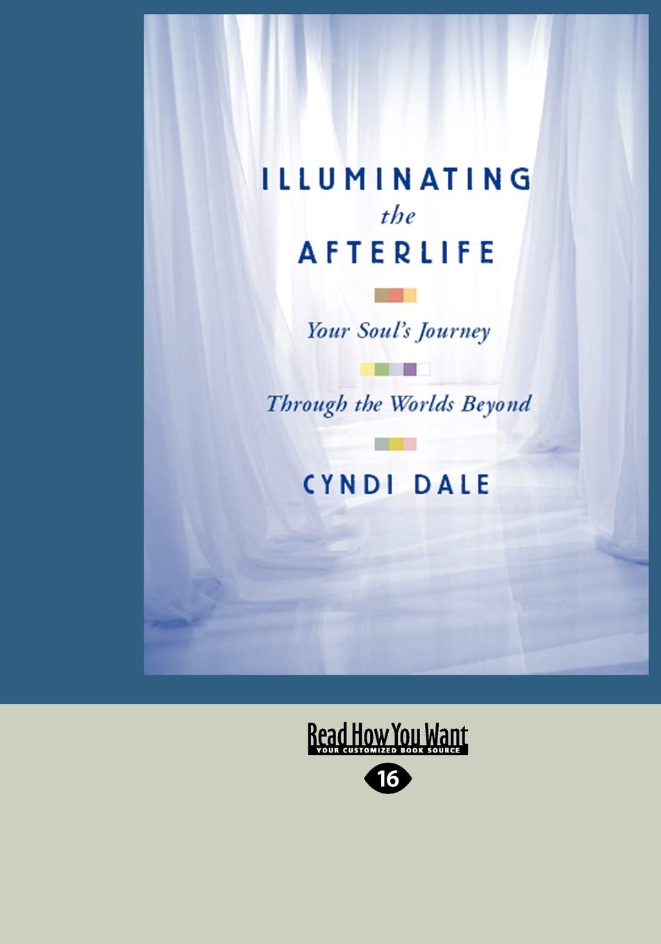 Illuminating The Afterlife: Your Soul's Journey Through the Worlds Beyond: Your Soul's Journey Through the Worlds Beyond (Easyread Large Edition) Death & Mourning
