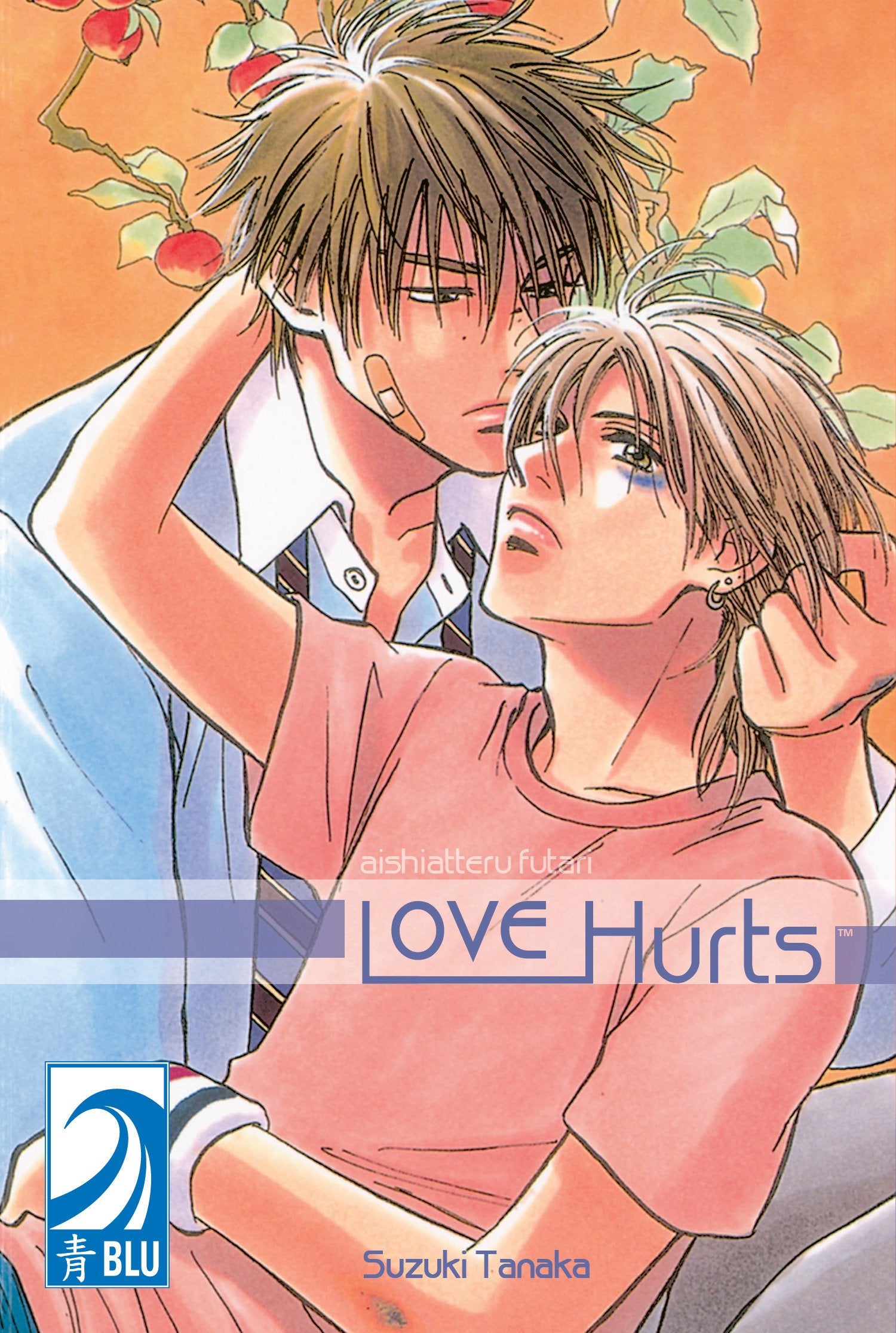 Love Hurts Aishiatteru Futari Manga