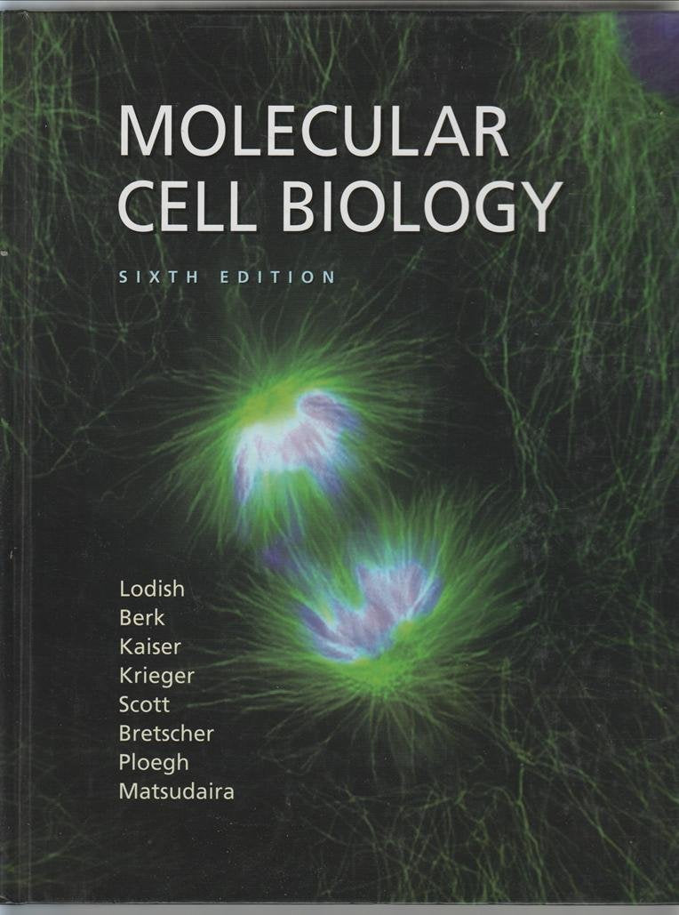 Molecular Cell Biology: 6th Edition Natural Sciences Books