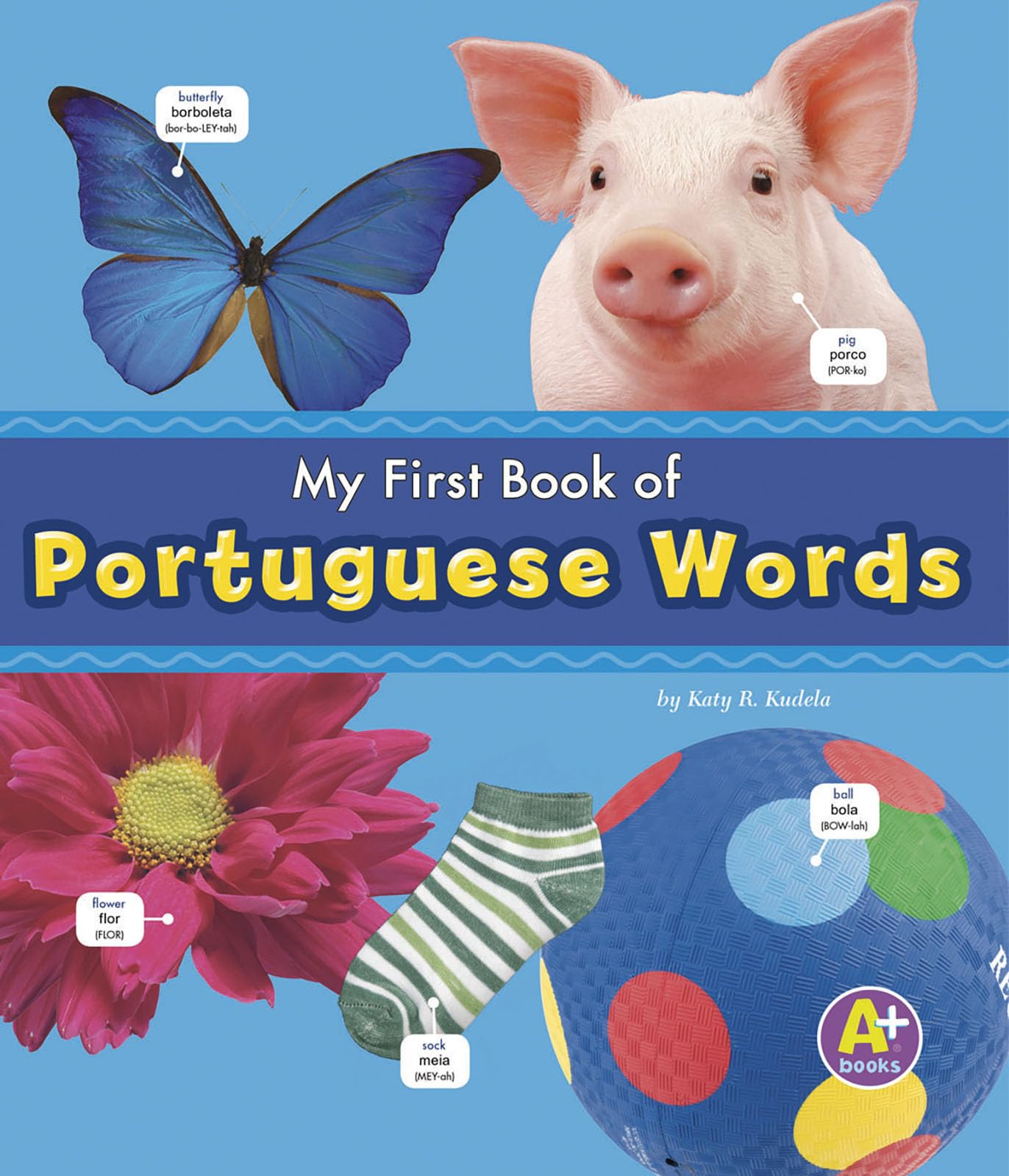 My First Book of Portuguese Words book