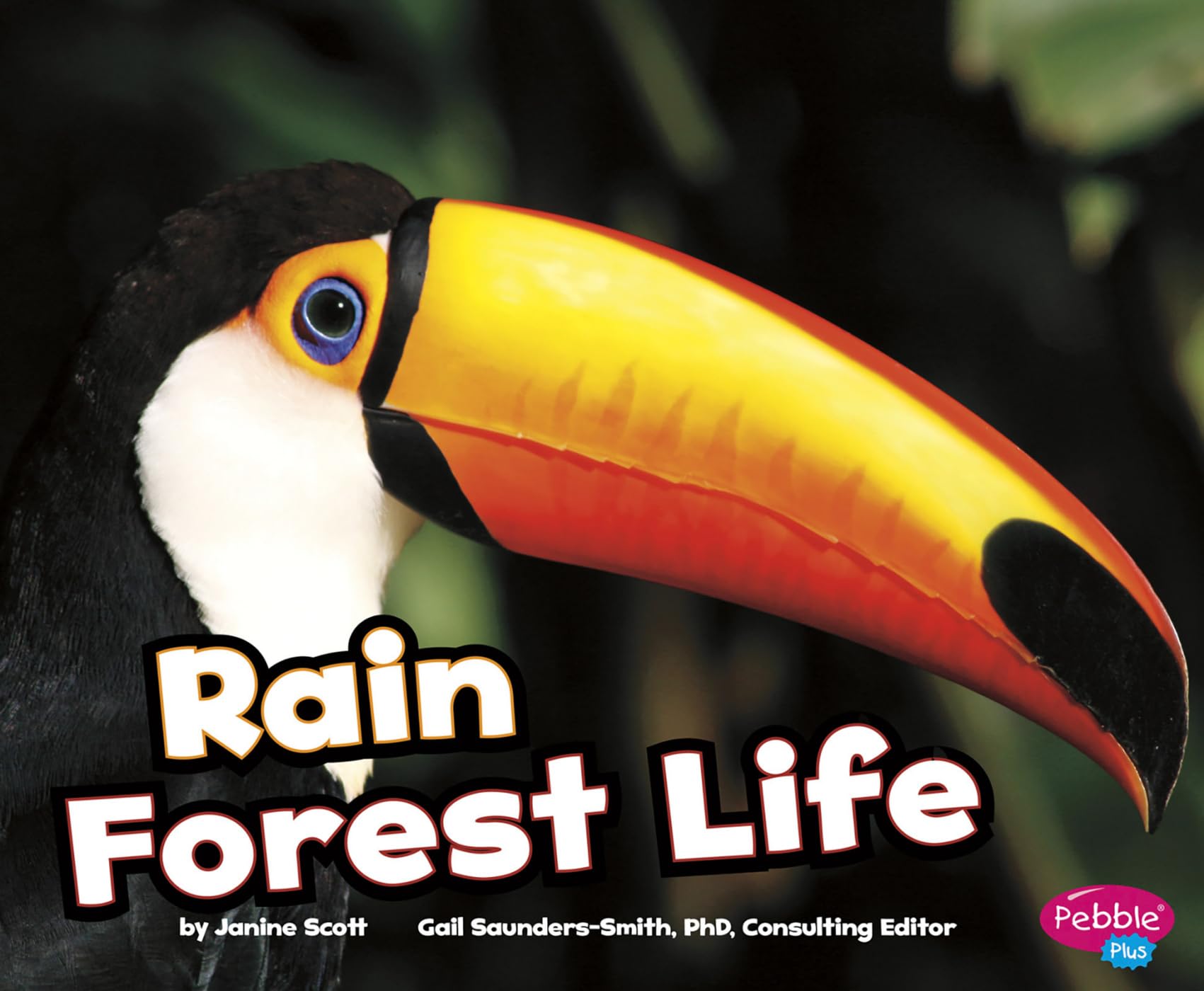 Rain Forest Life (Pebble Plus: Habitats Around the World) Learning & Reference