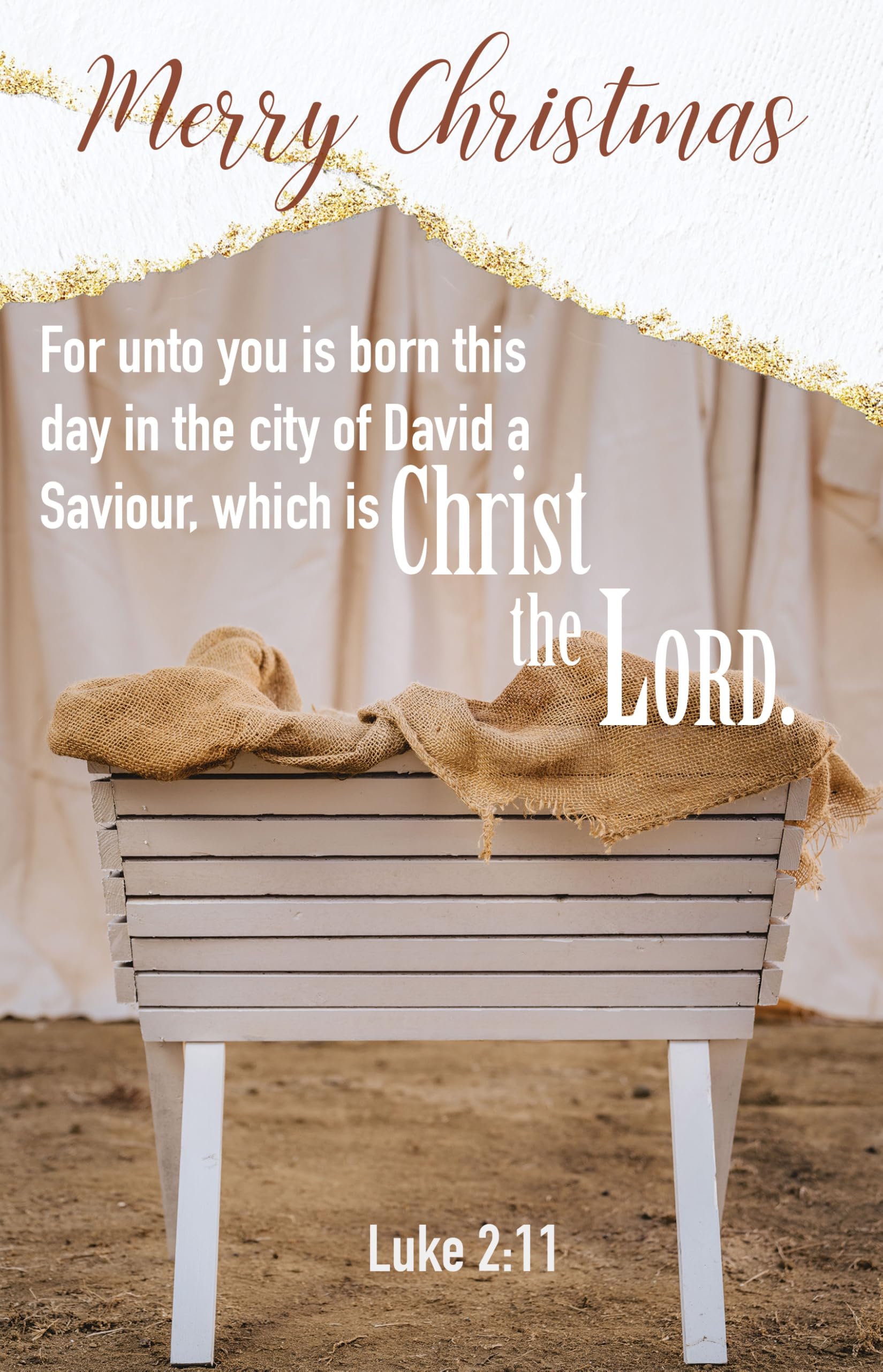 Christmas Bulletin: Merry Christmas (Package of 100): Luke 2:11 (Kjv) Religion & Esotericism