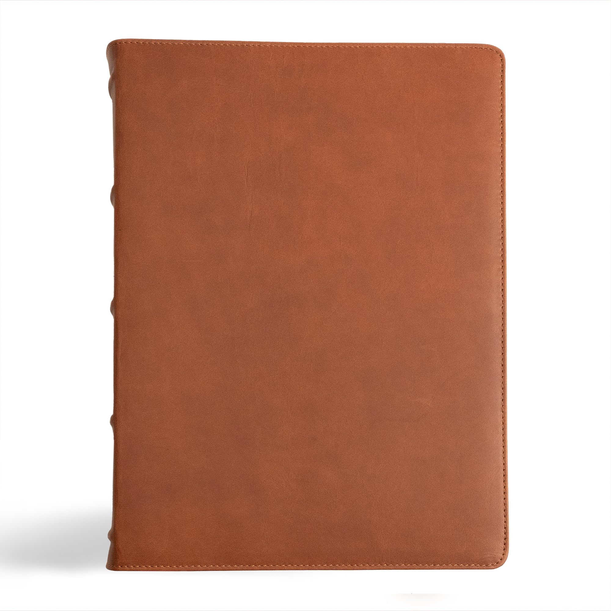 Holy Bible: Christian Standard Bible, Marbled Tan, Premium Calfskin, Verse-by-verse Reference, Holman Handcrafted Collection Religion & Esotericism