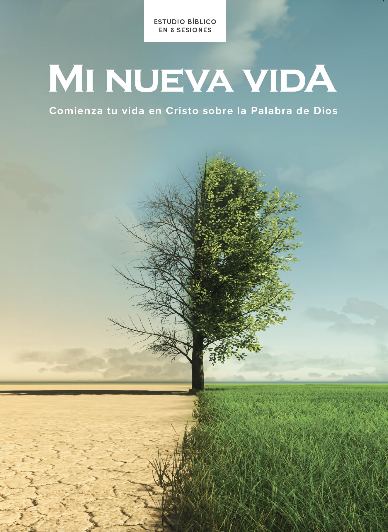 Mi nueva vida - Estudio bíblico: Comienza Tu Vida En Cristo Sobre La Palabra De Dios Religion & Esotericism