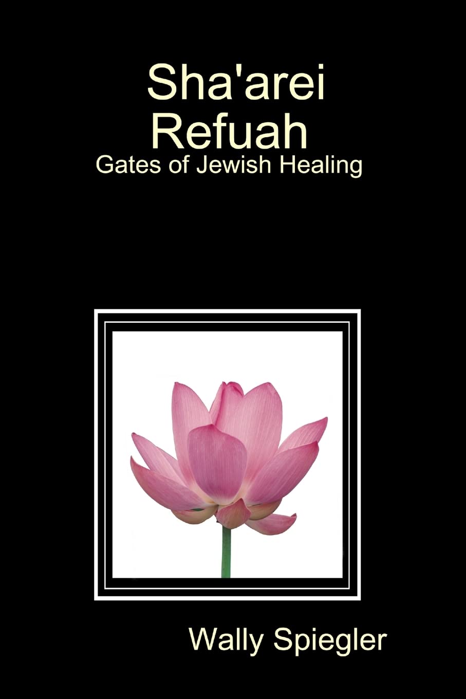 Sha'arei Refuah Gates of Jewish Healing Religion & Esotericism