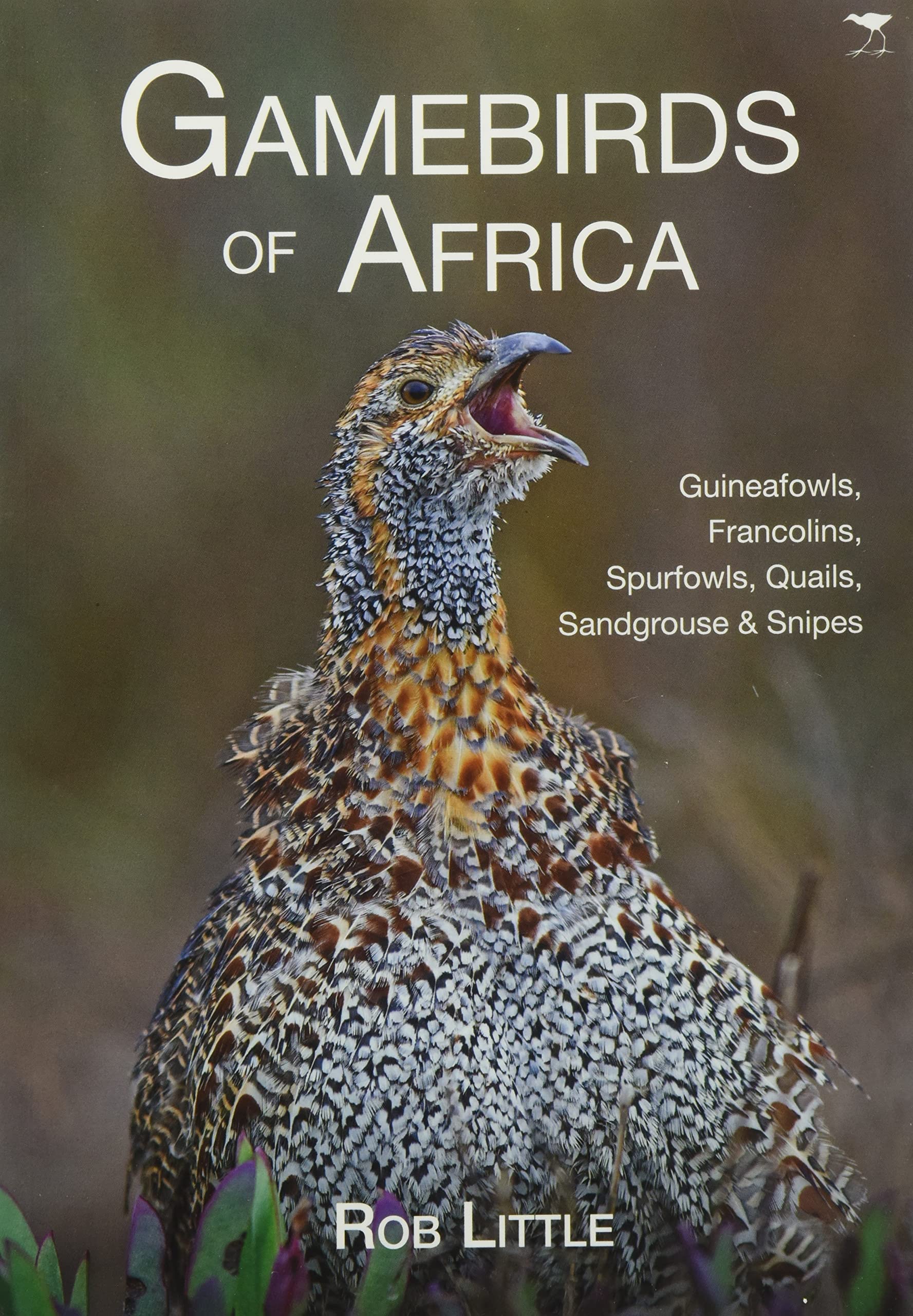 Gamebirds of Africa Mathematics