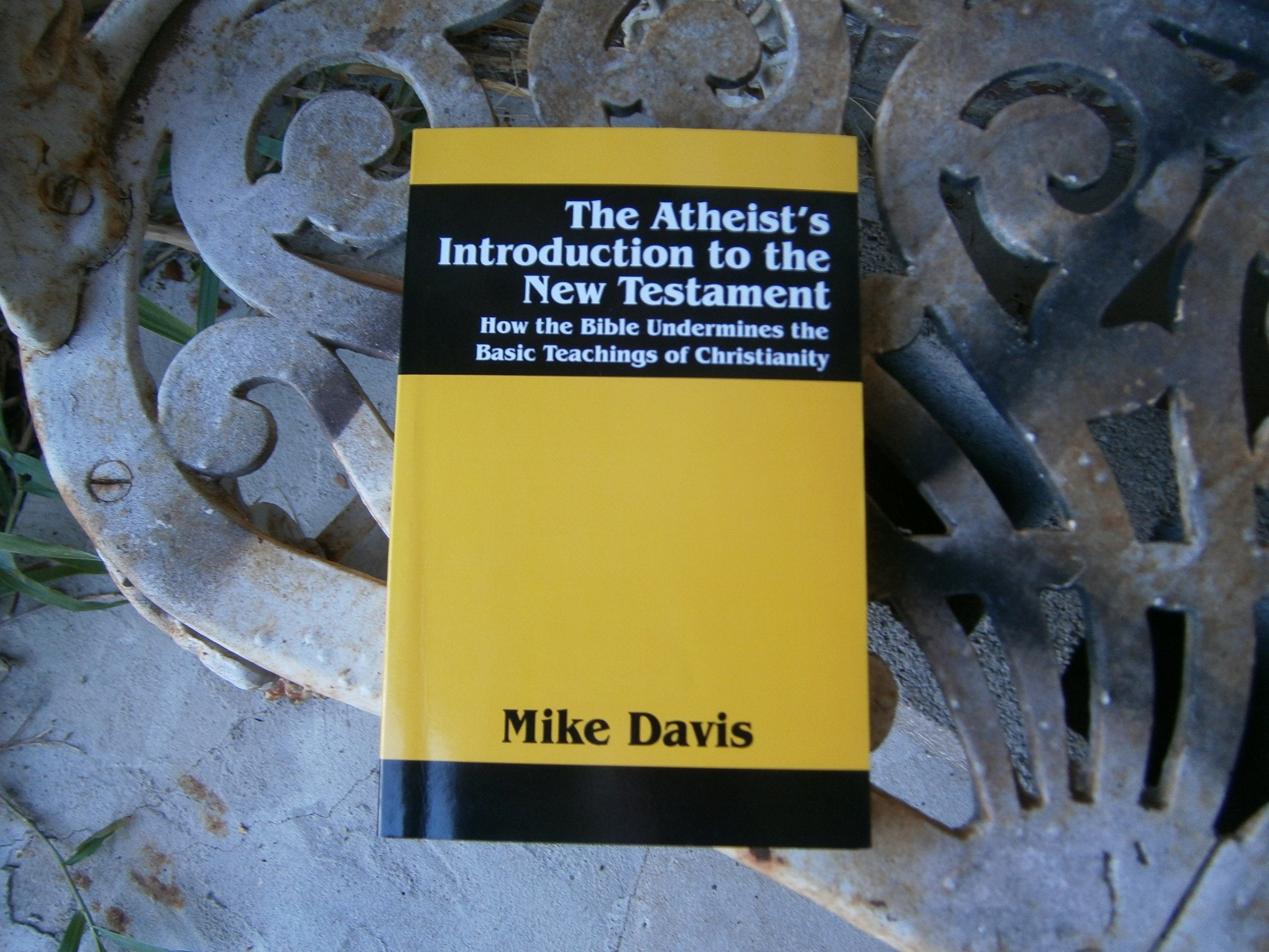 The Atheist's Introduction to the New Testament: How the Bible Undermines the Basic Teachings of Christianity Religion & Esotericism