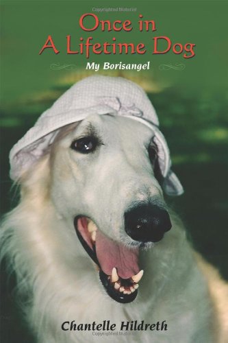 Once in a Lifetime Dog: My Borisangel Social Sciences