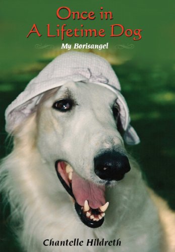 Once in a Lifetime Dog: My Borisangel Art & Literature