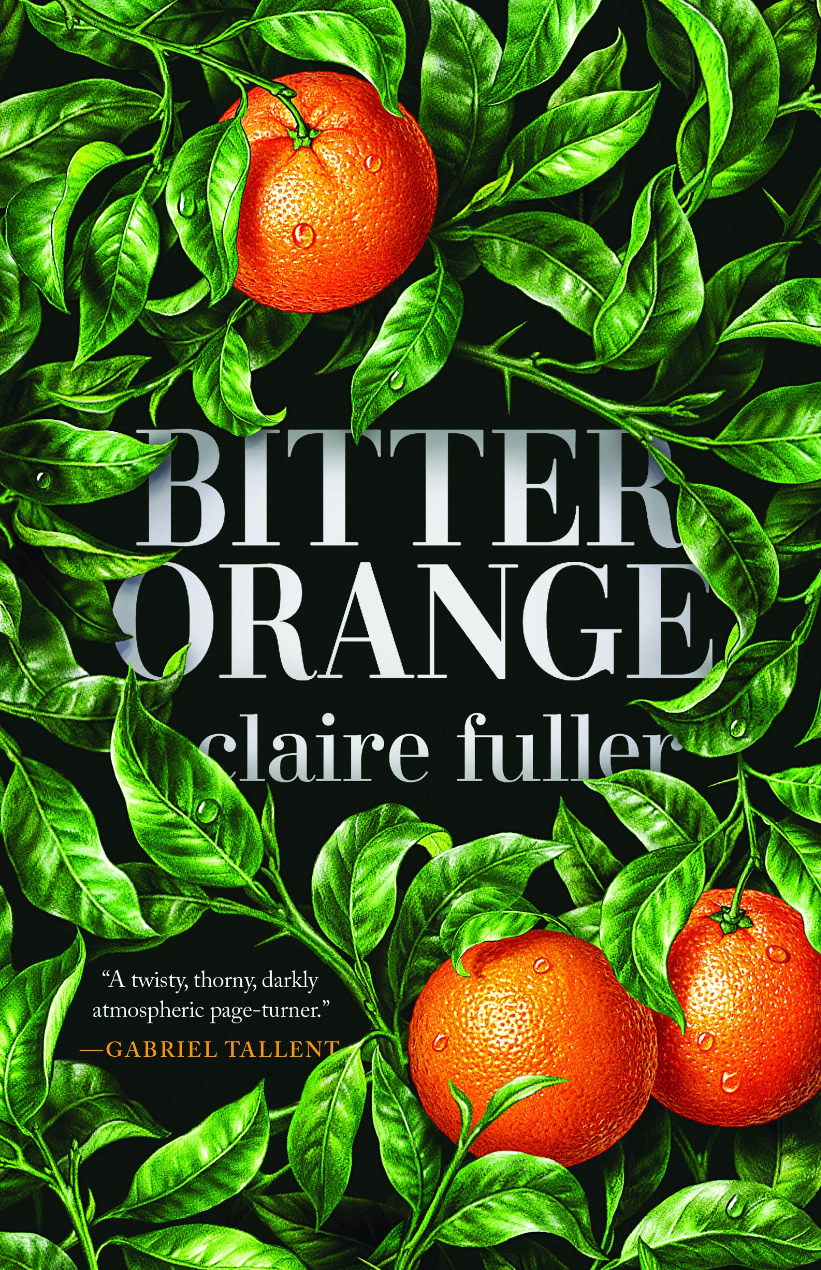 Bitter Orange (Thorndike Press Large Print Reviewers' Choice) Contemporary literature