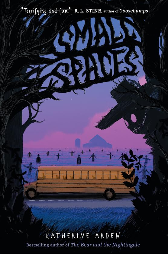Small Spaces book