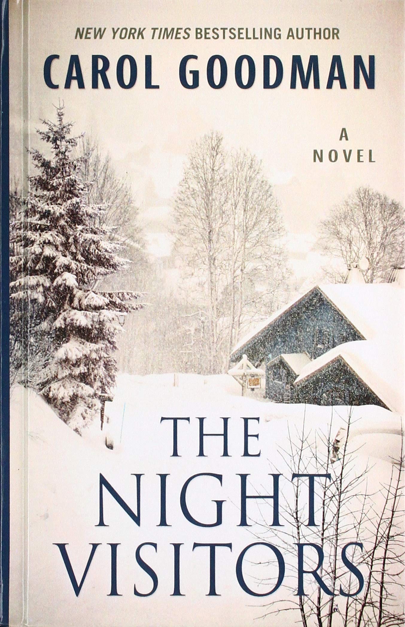 The Night Visitors (Wheeler Large Print Book) Contemporary literature