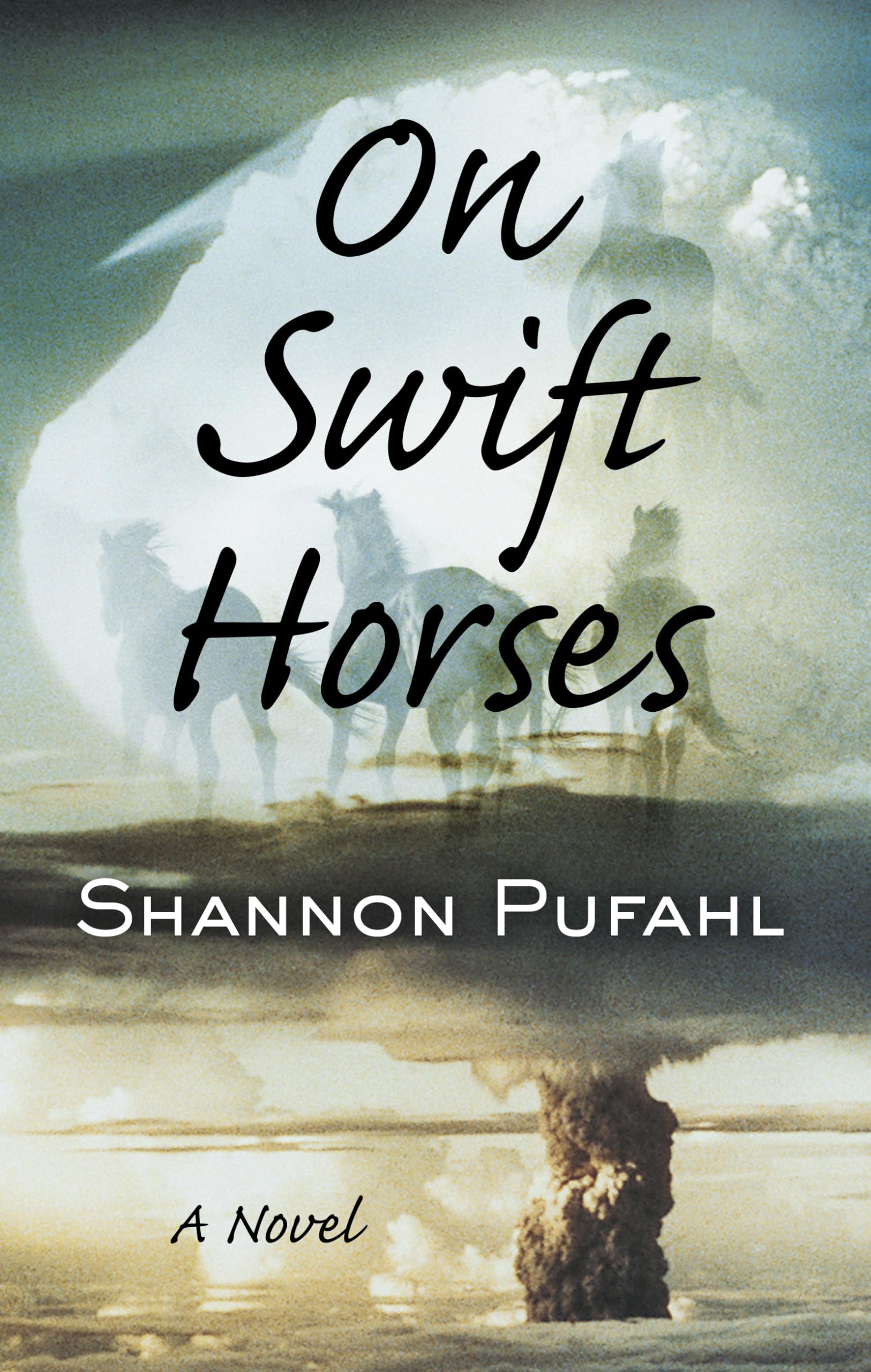 On Swift Horses (Thorndike Press Large Print Core) LGBTQ+