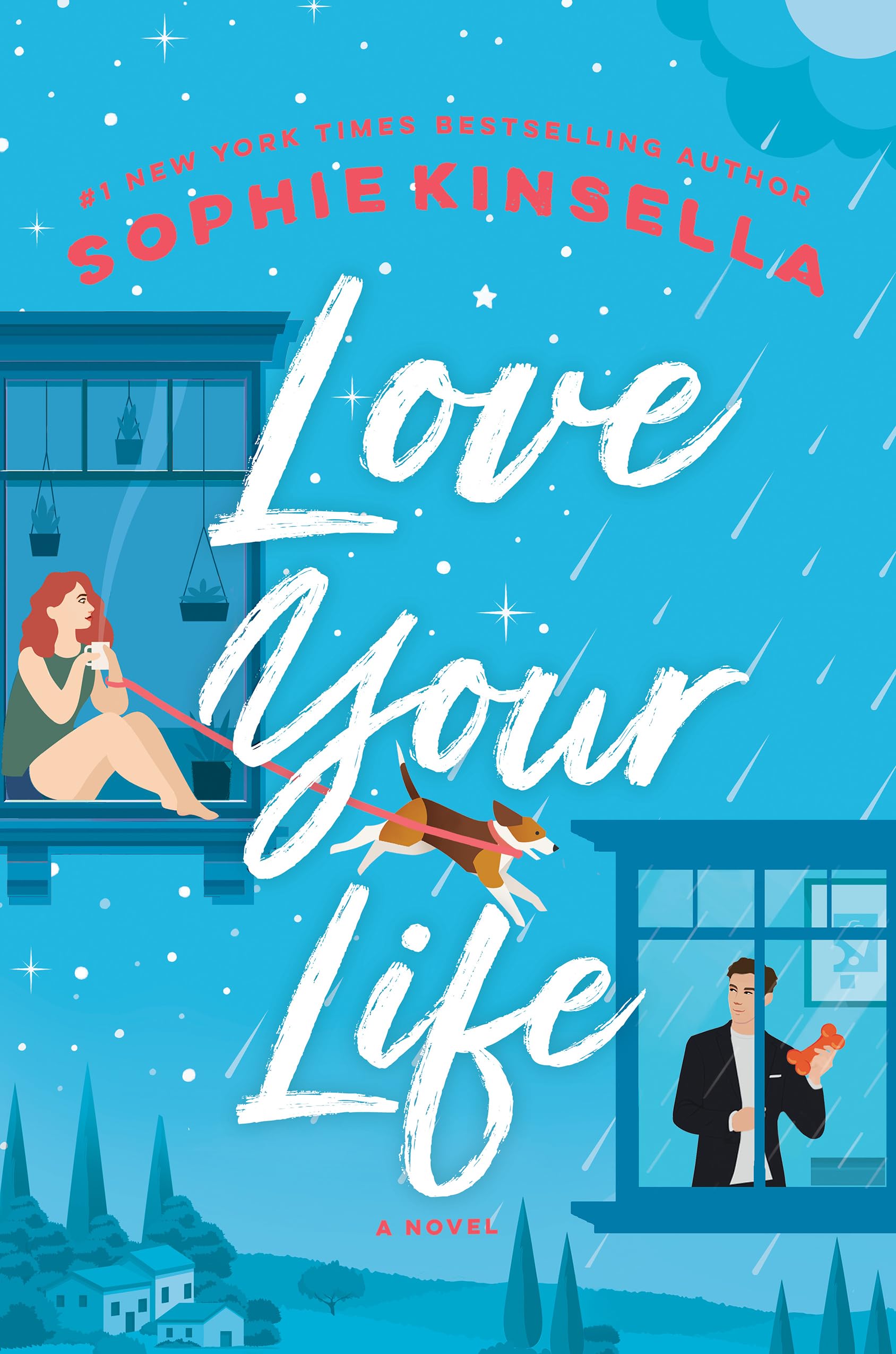 Love Your Life (Thorndike Press Large Print Core) Contemporary literature