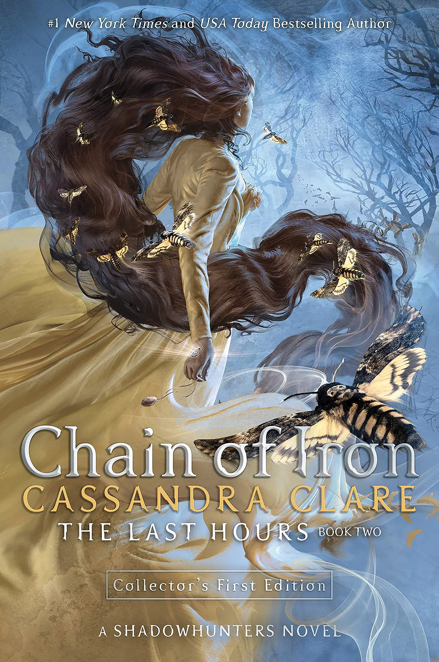 Product Image: Chain of Iron