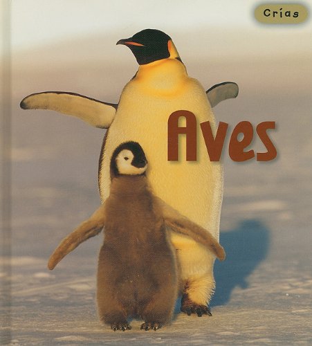 Aves/ Birds (Crias/ Animal Babies) Non-fiction