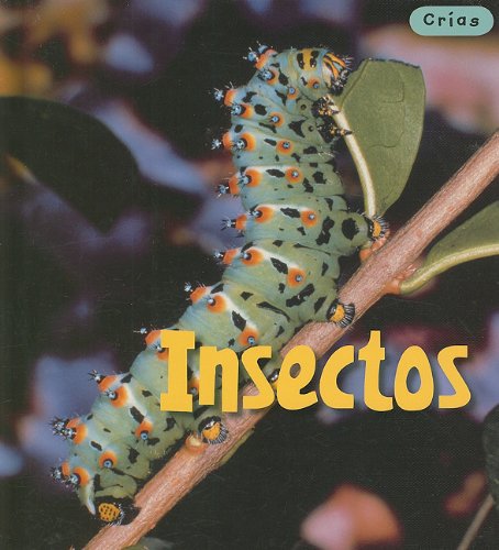 Insectos/ Insects (Crias/ Animal Babies, Band 1) Non-fiction
