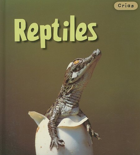 Reptiles/ Reptiles (Crias/ Animal Babies, Band 1) Non-fiction