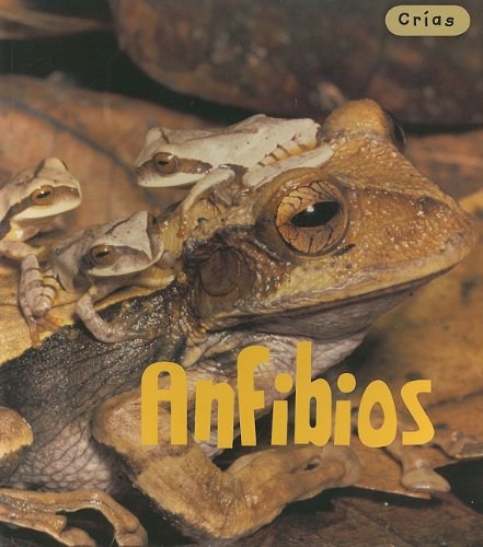 Anfibios/ Amphibians (Crias/ Animal Babies) Non-fiction