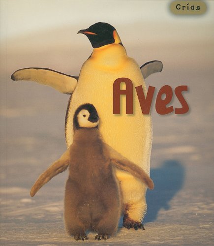Aves/ Birds (Crias/ Animal Babies) Non-fiction
