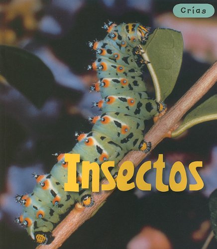 Insectos/ Insects (Crias/ Animal Babies, Band 1) Non-fiction