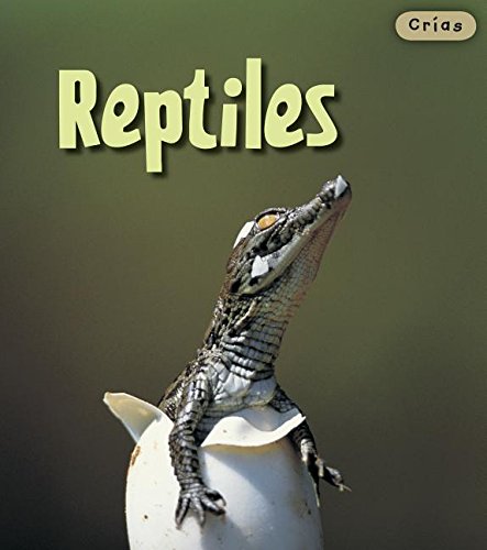 Crias, Reptiles (Crias/ Animal Babies, Band 1) Non-fiction