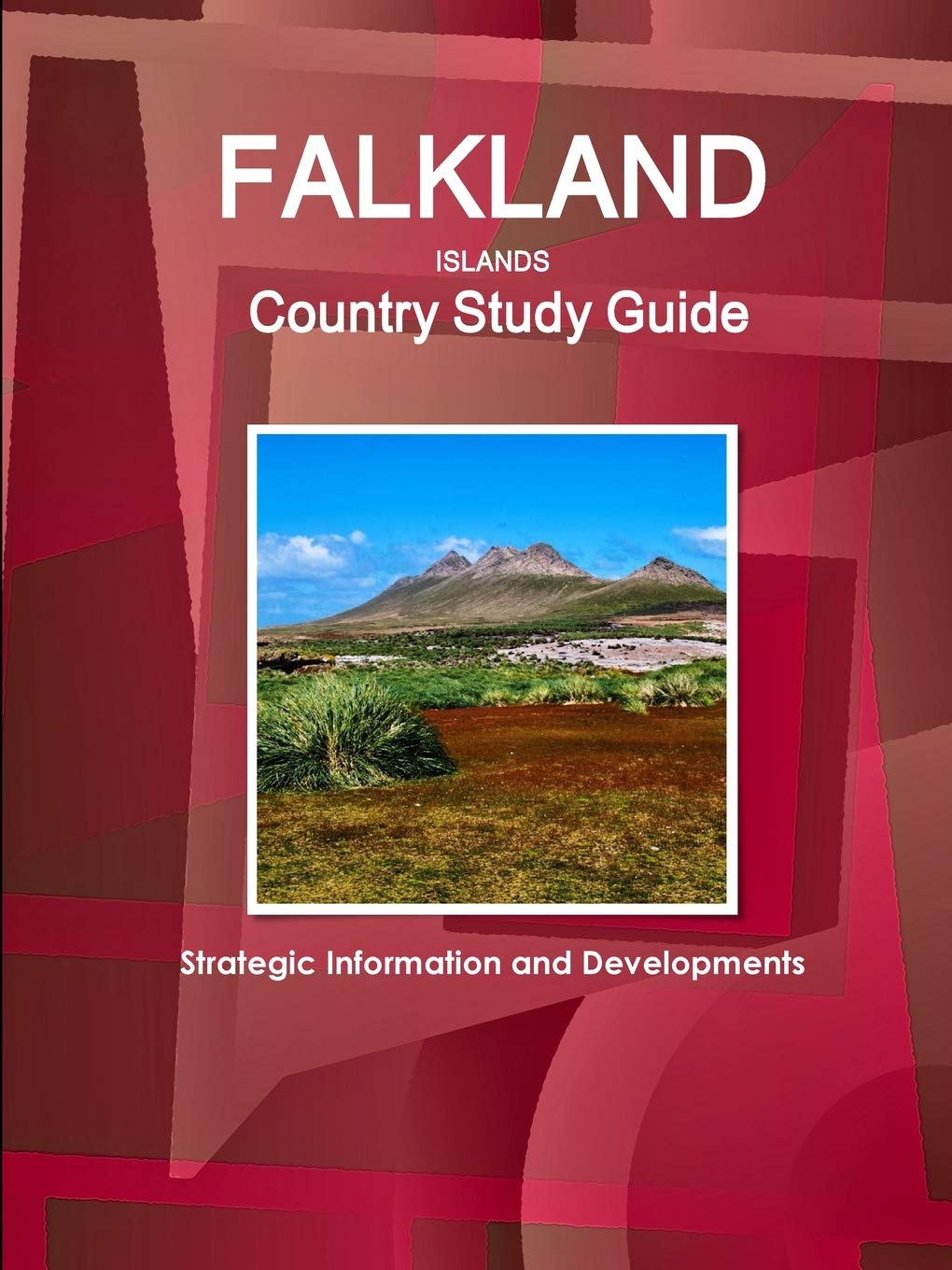 Falkland Islands Country Study Guide (World Strategic and Business Information Library) Business, Finance & Career
