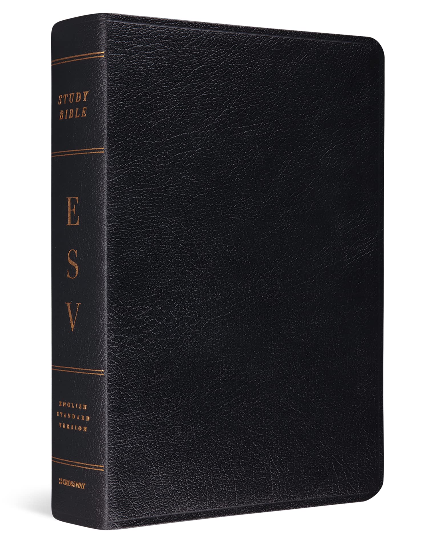 Study Bible-ESV : English Standard Version, Black Genuine Leather Film, Art & Culture