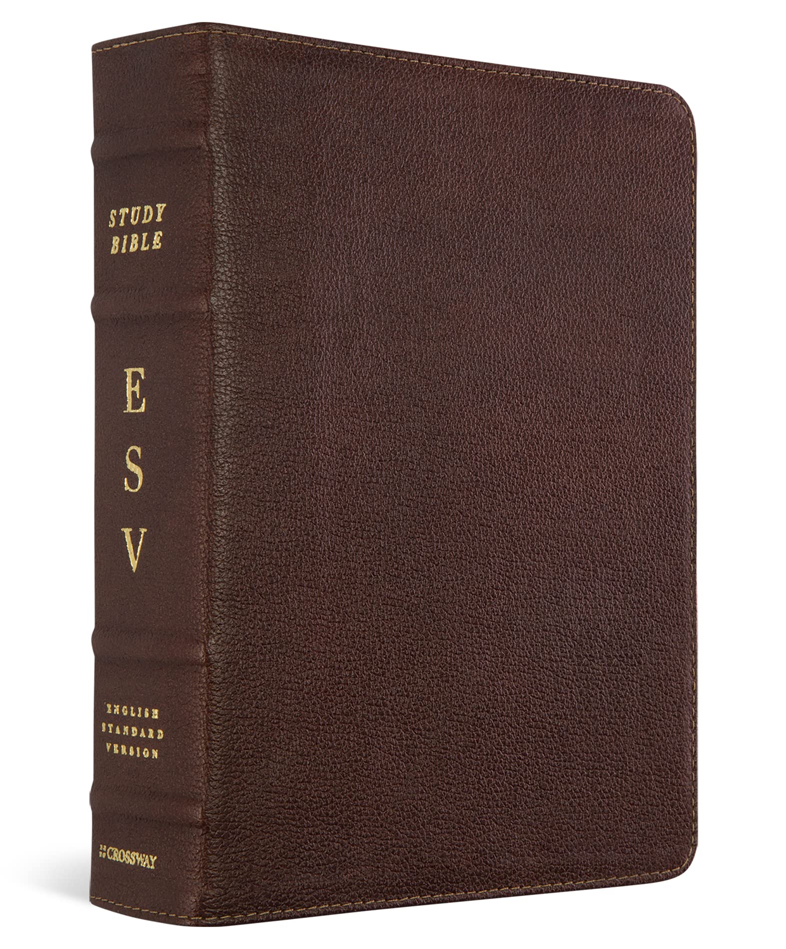 Study Bible-ESV: To Understand the Bible in a Deeper Way: English Standard Version, Deep Brown, Cowhide Leather, Study Bible Film, Art & Culture
