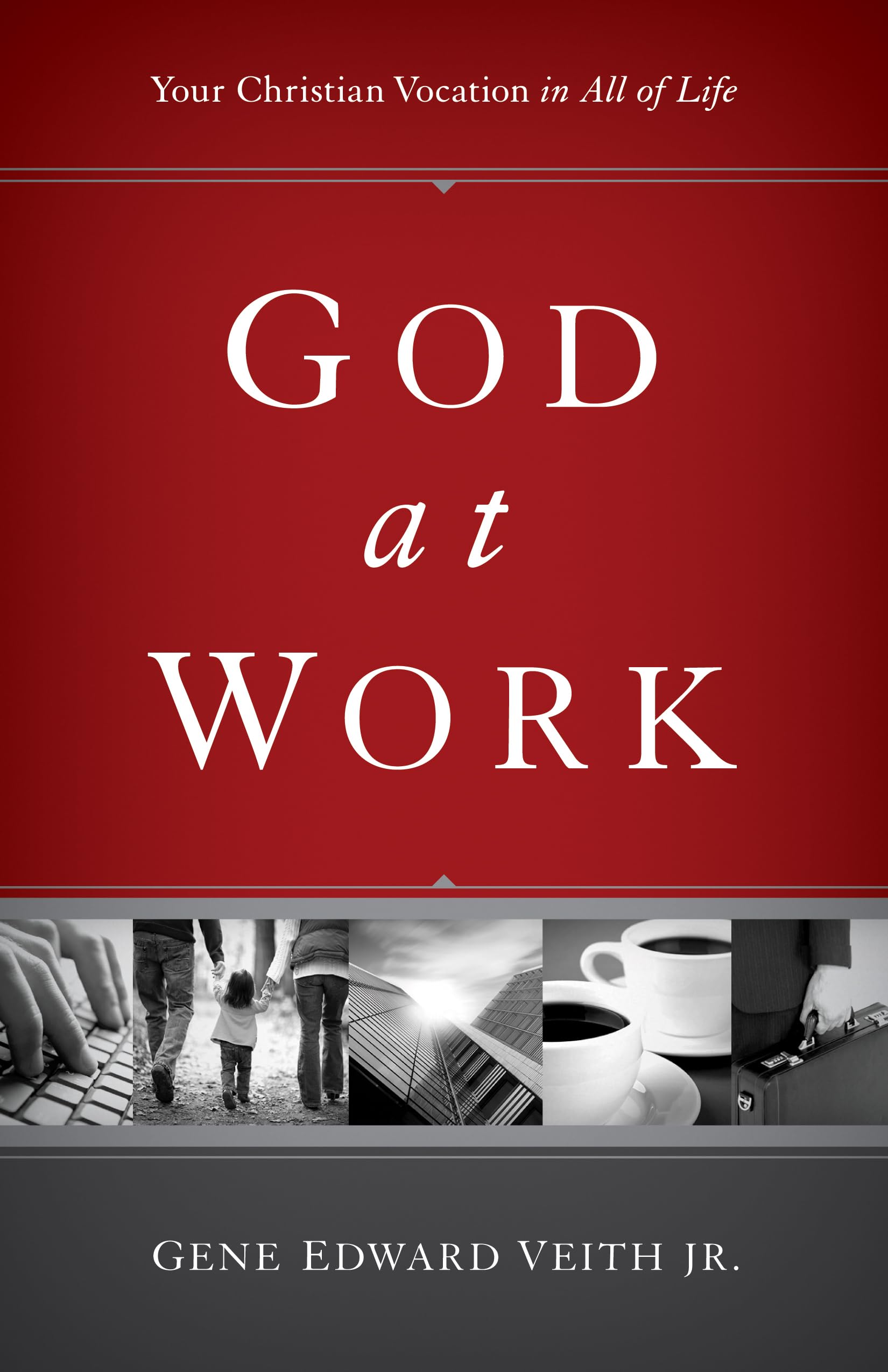 God at Work: Your Christian Vocation in All of Life (Focal Point) Social Sciences