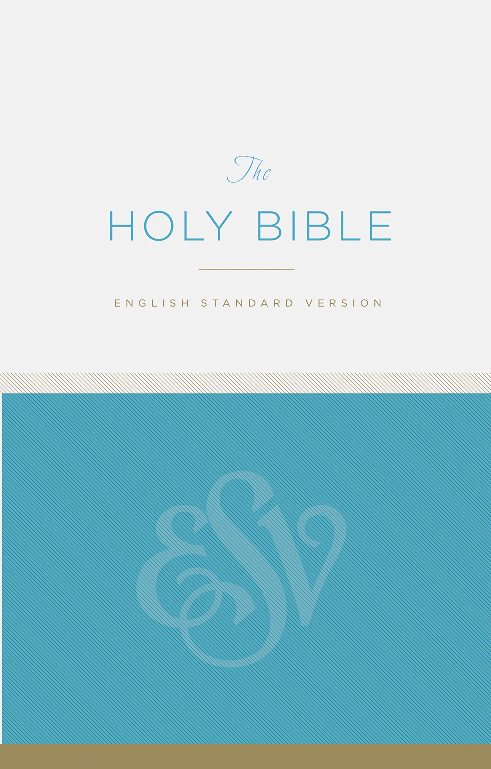Holy Bible: Bib Esv Economy Bible Religion & Esotericism