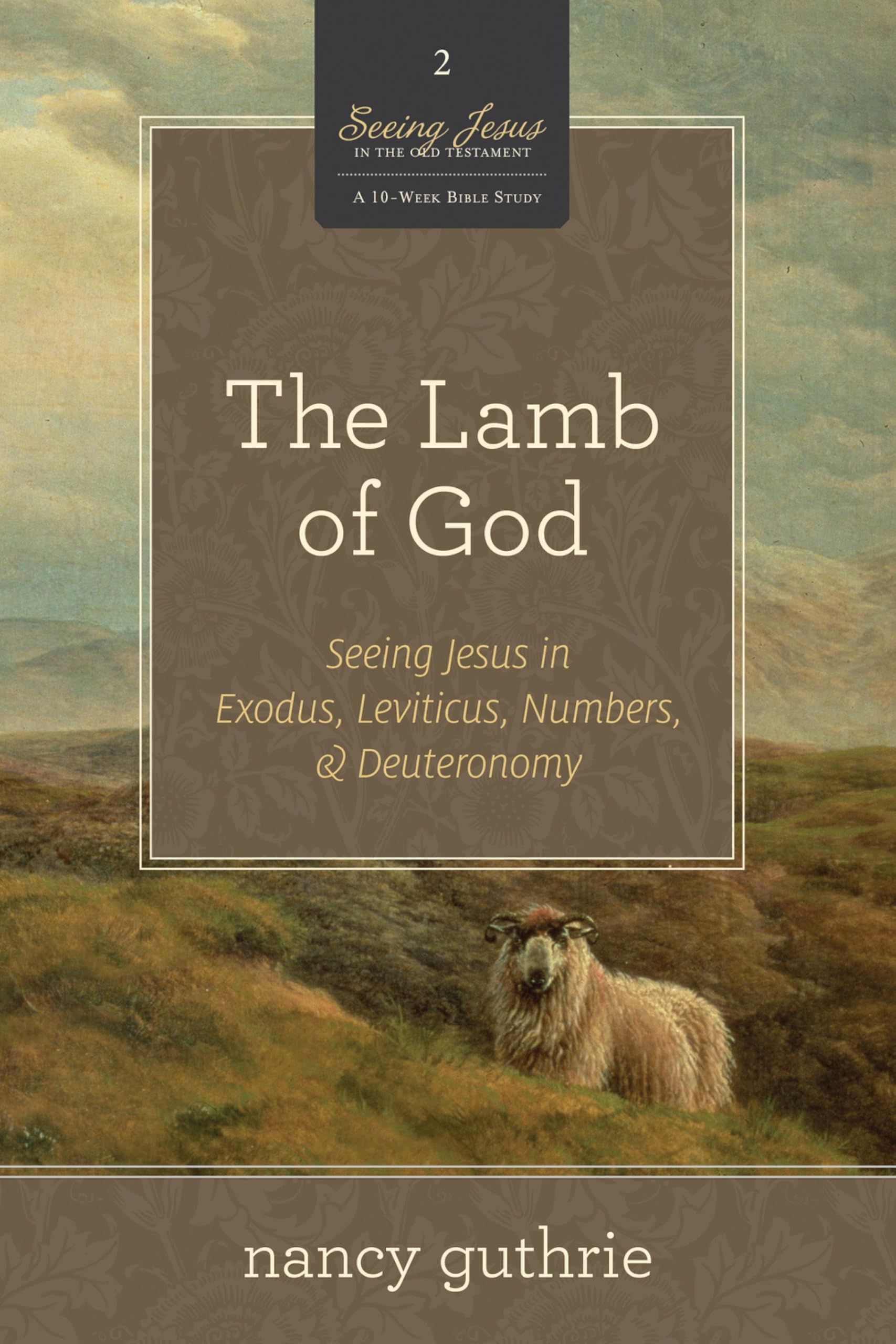The Lamb of God: Seeing Jesus in Exodus, Leviticus, Numbers, and Deuteronomy: Seeing Jesus in Exodus, Leviticus, Numbers, and Deuteronomy (a 10-Week ... (Seeing Jesus in the Old Testament, Band 2) Social Sciences
