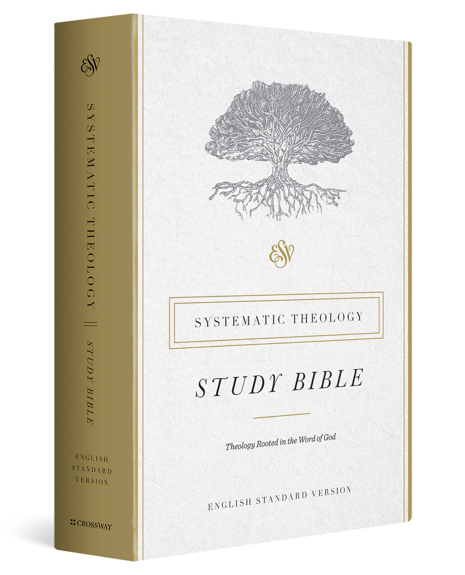 Product Image: ESV Systematic Theology Study Bible