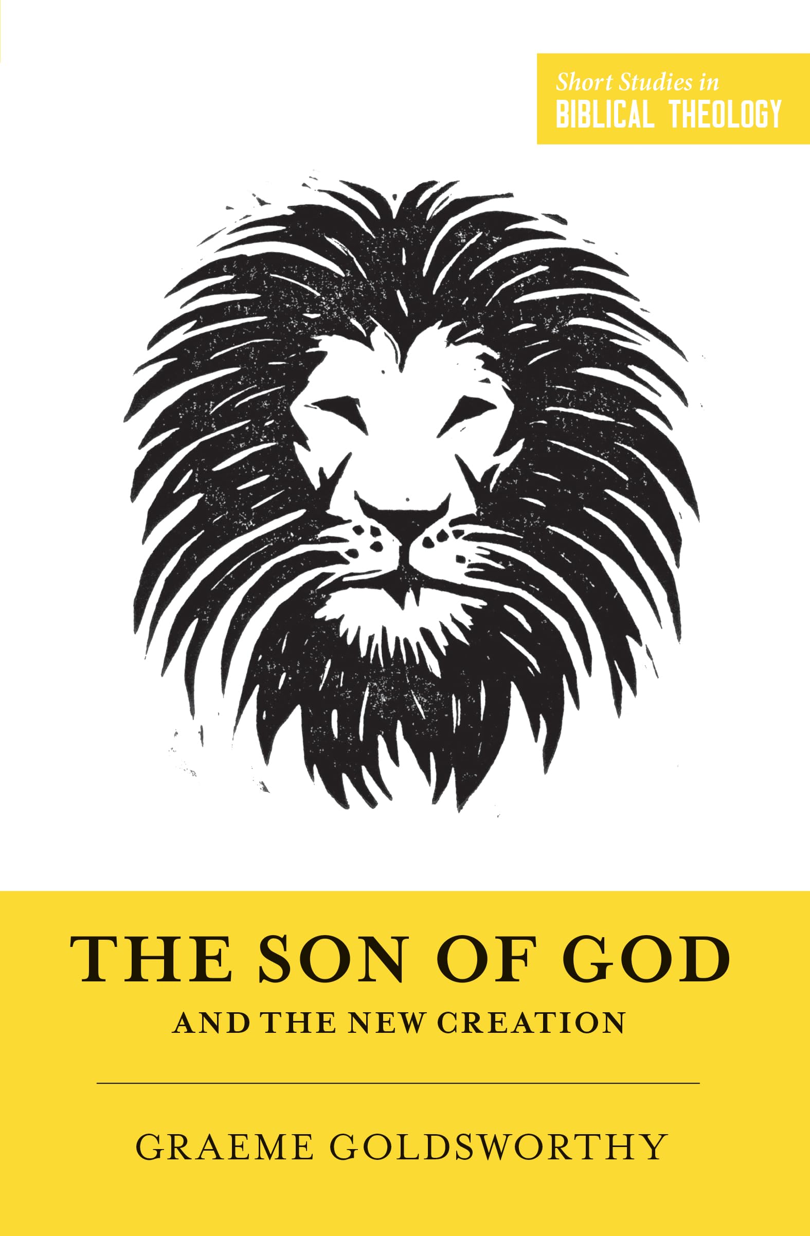 The Son of God and the New Creation (Short Studies in Biblical Theology) Social Sciences