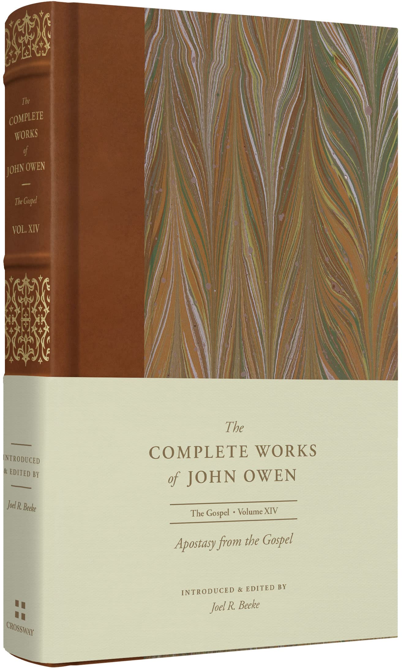 Apostasy from the Gospel (Complete Works of John Owen) Religion & Esotericism